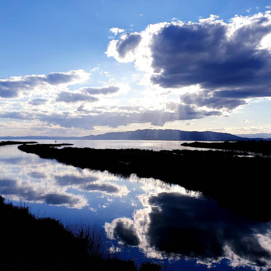 La Finestra Del Delta Pensionat L'Ampolla Eksteriør billede